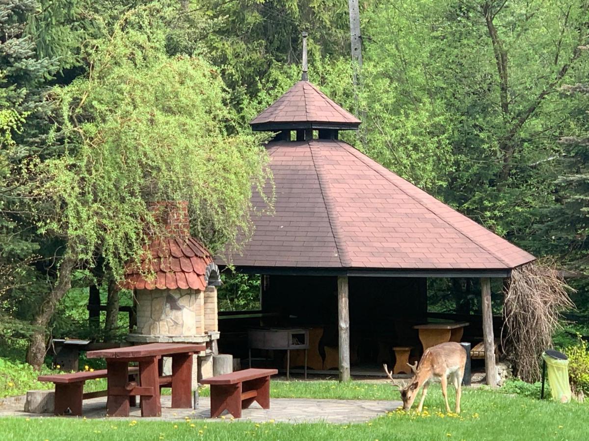Gosciniec Pod Smrekami Bed & Breakfast Czorsztyn Bagian luar foto