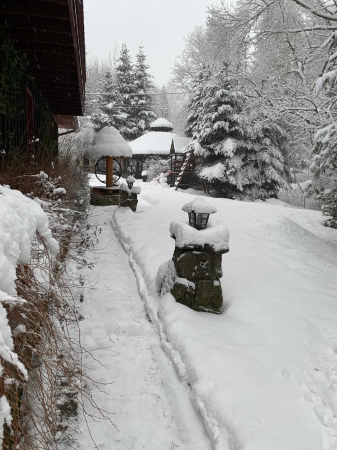 Gosciniec Pod Smrekami Bed & Breakfast Czorsztyn Bagian luar foto