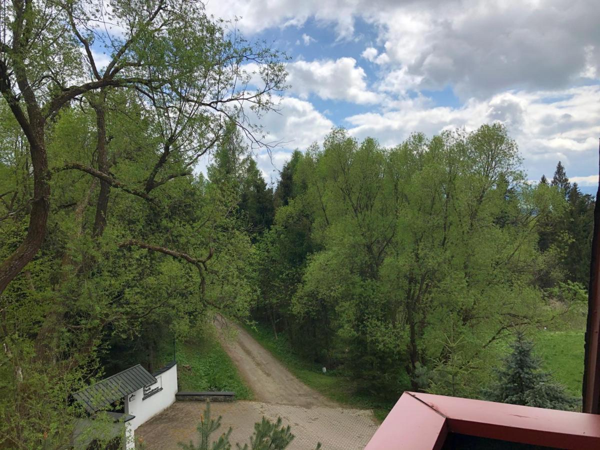Gosciniec Pod Smrekami Bed & Breakfast Czorsztyn Bagian luar foto